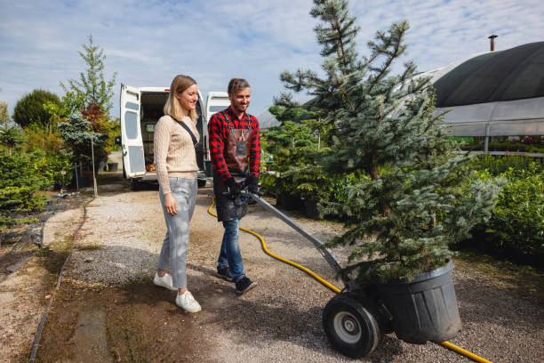 Best Tree Removal  in Frankfort, MI